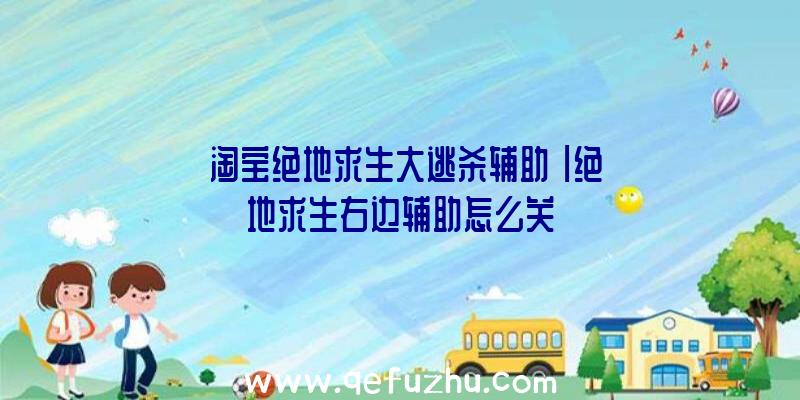 「淘宝绝地求生大逃杀辅助」|绝地求生右边辅助怎么关